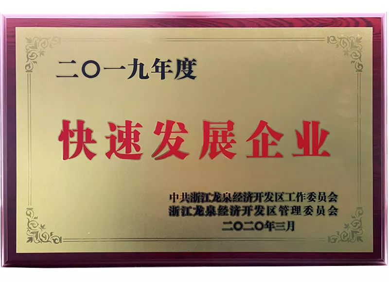 2019年度快速发展企业